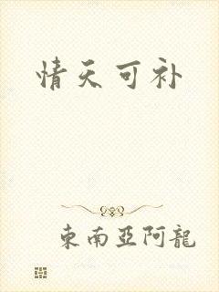 情天可补