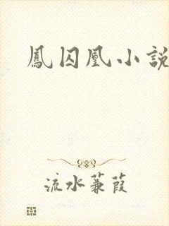 凤囚凰小说