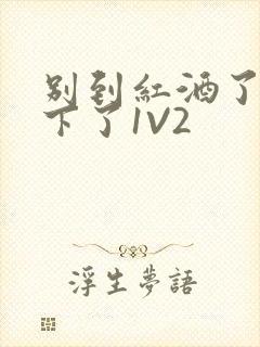 别到红酒了装不下了1V2