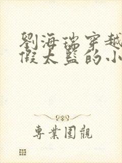 刘海瑞穿越后宫假太监的小说