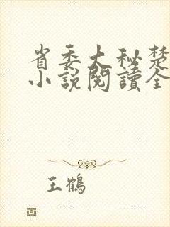 省委大秘楚东恒小说阅读全文