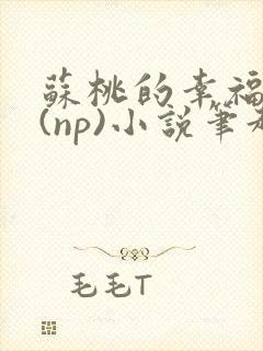 苏桃的幸福生活(np)小说笔趣阁沐沐