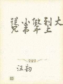 从小做到大骨科兄弟年上