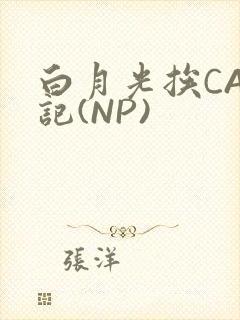 白月光挨CAO记(NP)