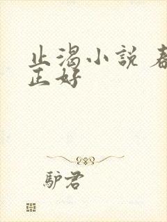 止渴小说 春光正好