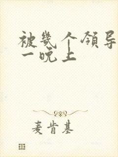 被几个领导玩弄一晚上