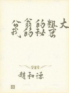 公翁的粗大放进我的秘密