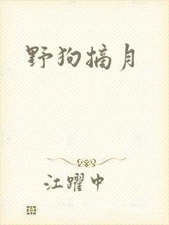 野狗摘月
