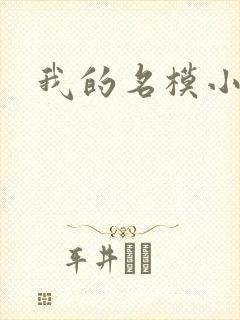 我的名模小娇妻