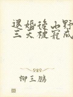 退婚后山野糙汉三天被宠成宝小说