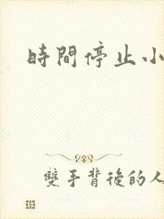 时间停止小说