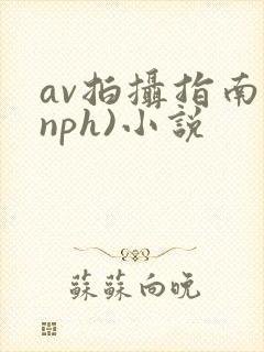 av拍摄指南(nph)小说