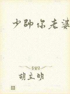少帅你老婆