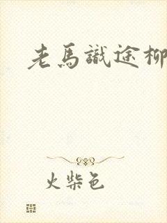 老马识途柳娇娇