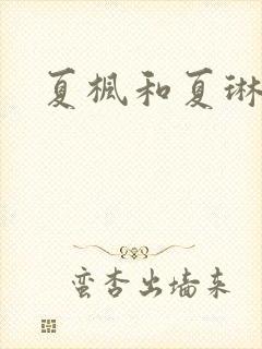 夏枫和夏琳