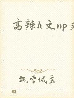 高辣h文np爽
