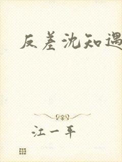 反差沈知遇晏应