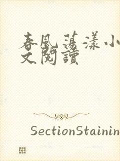 春风荡漾小说全文阅读