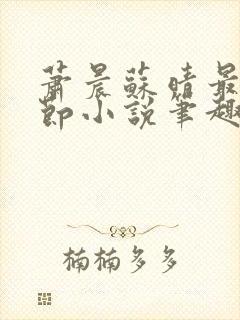 萧晨苏晴最新章节小说笔趣阁