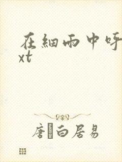 在细雨中呼喊txt