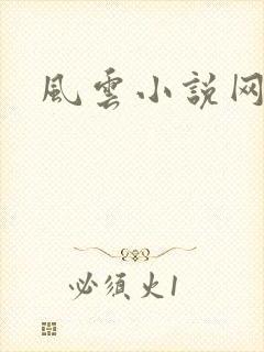 风云小说网