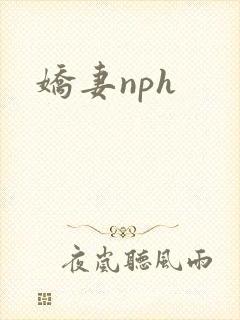 娇妻nph