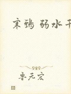 寒鸦 弱水千流