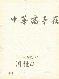 中华高手在异世