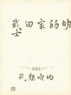 武田家的明国武士