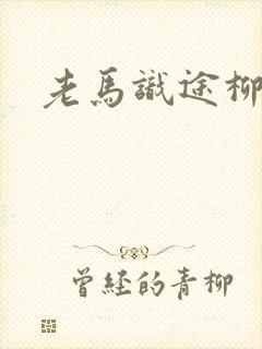 老马识途柳娇娇
