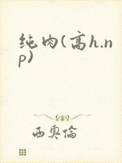 纯肉(高h.np)