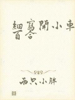 细写开小车车的百合