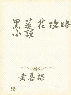 黑莲花攻略手册小说