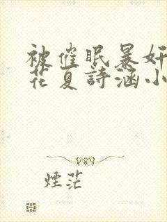 被催眠暴奸的校花夏诗涵小说