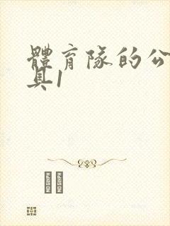 体育队的公用玩具1