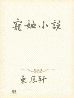 宠她小说
