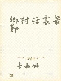 乡村活寡最新章节