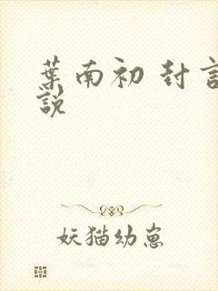 叶南初 封言小说