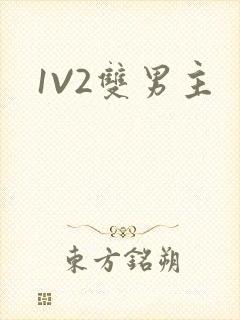 1V2双男主