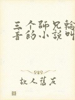 三个师兄轮流上音的小说叫什么