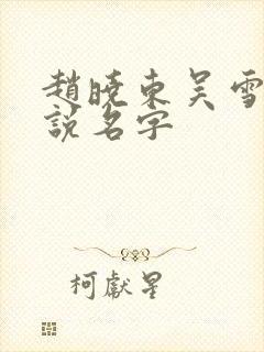 赵晓东吴雪晴小说名字