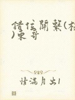 错位关系(校园)东哥