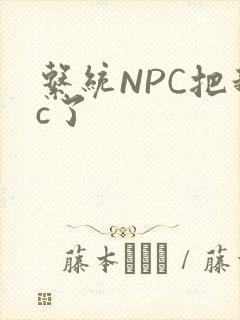 系统NPC把我c了