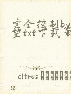 完全控制by天望txt下载笔趣阁