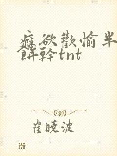 瘾欲欢愉半块小饼干tnt