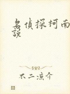 名侦探柯南h小说