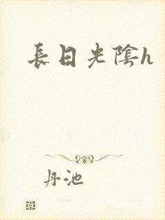 长日光阴h