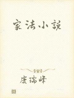 家法小说