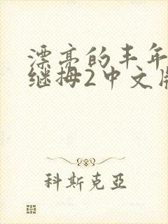 漂亮的丰年经的继拇2中文版