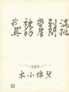 我被带到满是玩具的房间挑调作文